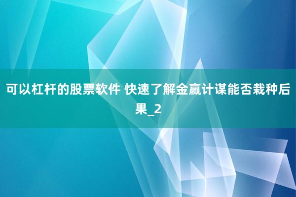 可以杠杆的股票软件 快速了解金赢计谋能否栽种后果_2