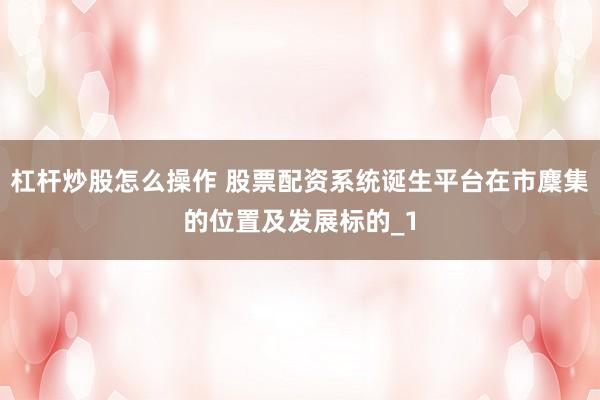 杠杆炒股怎么操作 股票配资系统诞生平台在市麇集的位置及发展标的_1