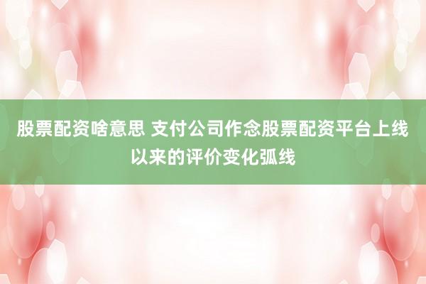 股票配资啥意思 支付公司作念股票配资平台上线以来的评价变化弧线