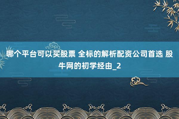 哪个平台可以买股票 全标的解析配资公司首选 股牛网的初学经由_2