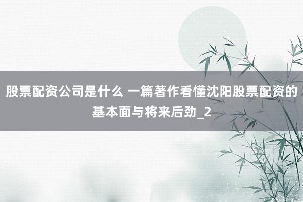 股票配资公司是什么 一篇著作看懂沈阳股票配资的基本面与将来后劲_2
