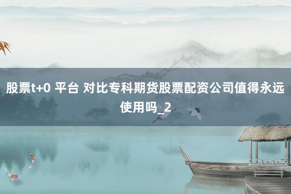 股票t+0 平台 对比专科期货股票配资公司值得永远使用吗_2