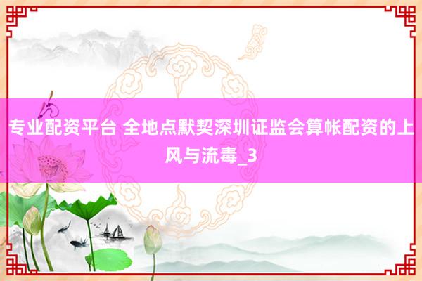 专业配资平台 全地点默契深圳证监会算帐配资的上风与流毒_3