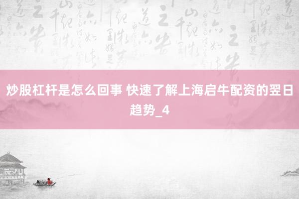 炒股杠杆是怎么回事 快速了解上海启牛配资的翌日趋势_4