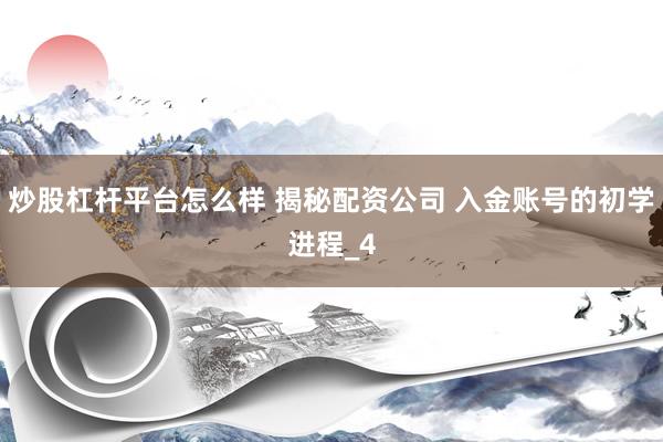 炒股杠杆平台怎么样 揭秘配资公司 入金账号的初学进程_4