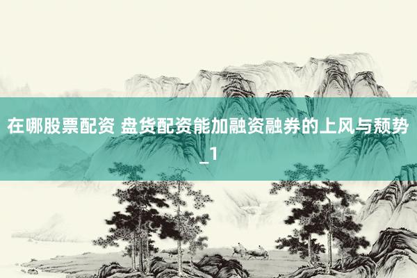 在哪股票配资 盘货配资能加融资融券的上风与颓势_1
