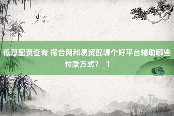 低息配资查询 撮合网和易资配哪个好平台辅助哪些付款方式？_1