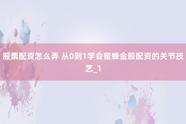股票配资怎么弄 从0到1学会蜜蜂金股配资的关节技艺_1