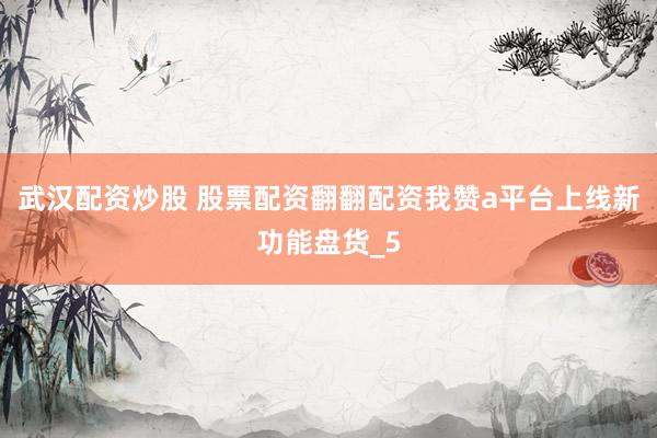 武汉配资炒股 股票配资翻翻配资我赞a平台上线新功能盘货_5