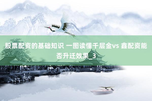股票配资的基础知识 一图读懂千层金vs 鑫配资能否升迁效果_3