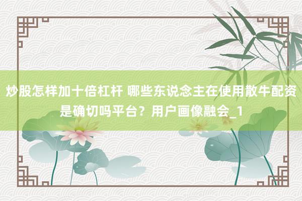 炒股怎样加十倍杠杆 哪些东说念主在使用散牛配资是确切吗平台？用户画像融会_1