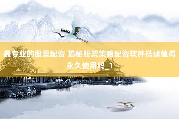 最专业的股票配资 揭秘股票策略配资软件搭建值得永久使用吗_1