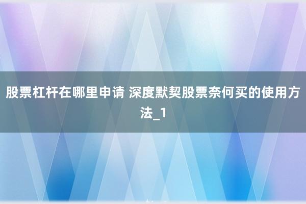 股票杠杆在哪里申请 深度默契股票奈何买的使用方法_1