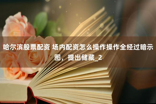 哈尔滨股票配资 场内配资怎么操作操作全经过暗示图，提出储藏_2
