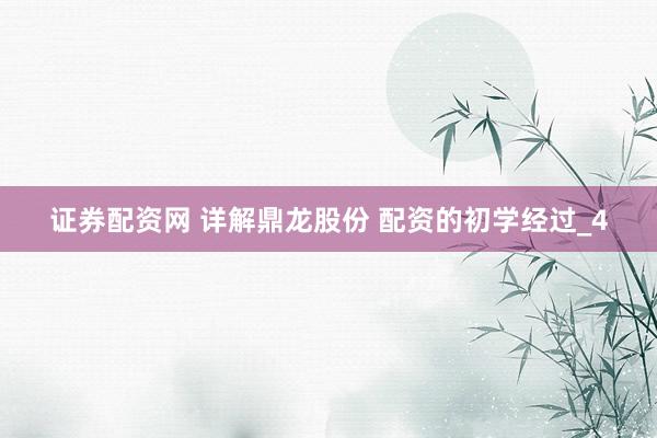 证券配资网 详解鼎龙股份 配资的初学经过_4