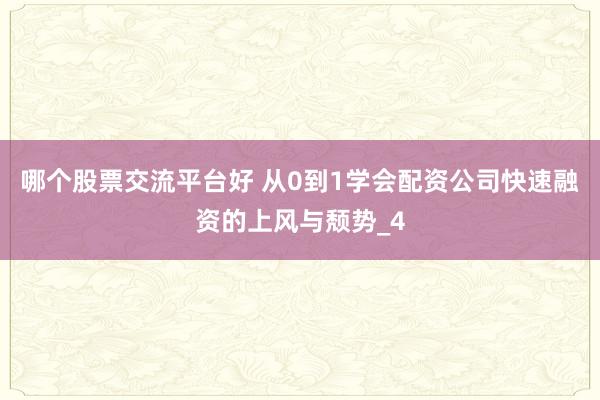 哪个股票交流平台好 从0到1学会配资公司快速融资的上风与颓势_4