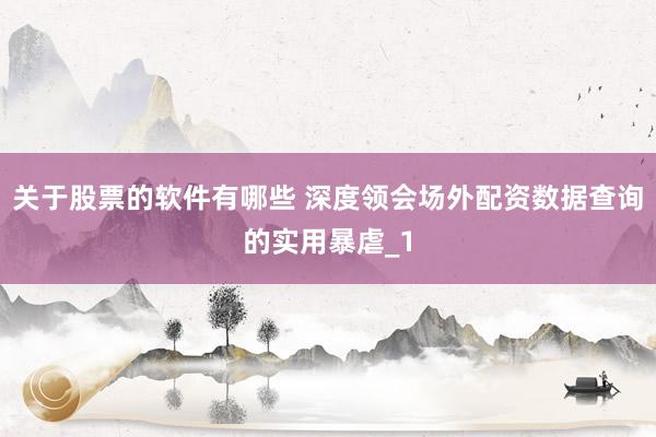 关于股票的软件有哪些 深度领会场外配资数据查询的实用暴虐_1