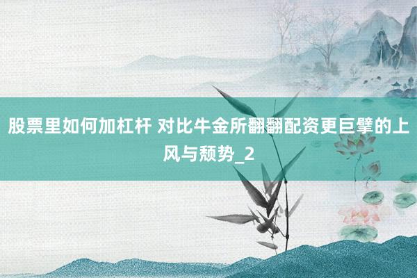 股票里如何加杠杆 对比牛金所翻翻配资更巨擘的上风与颓势_2
