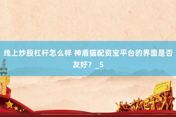 线上炒股杠杆怎么样 神盾猫配资宝平台的界面是否友好？_5