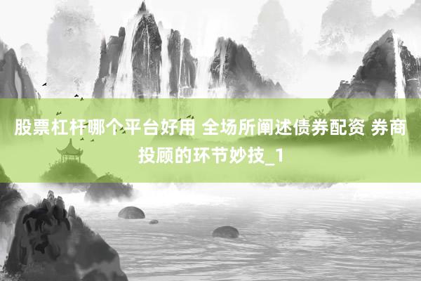 股票杠杆哪个平台好用 全场所阐述债券配资 券商投顾的环节妙技_1