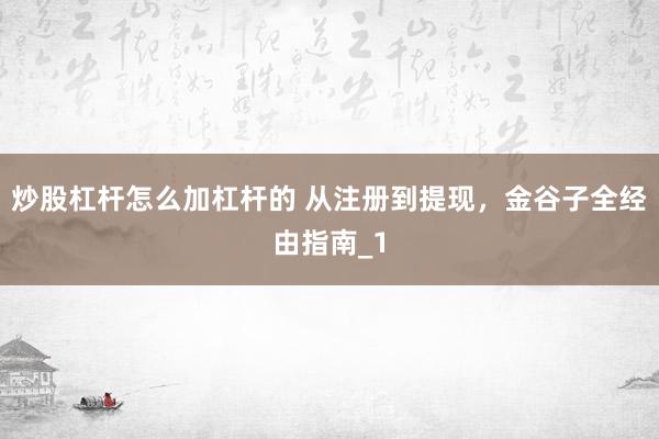 炒股杠杆怎么加杠杆的 从注册到提现，金谷子全经由指南_1