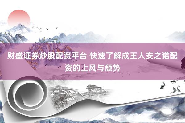 财盛证券炒股配资平台 快速了解成王人安之诺配资的上风与颓势