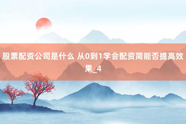 股票配资公司是什么 从0到1学会配资简能否提高效果_4