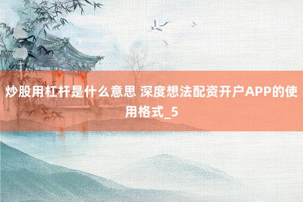 炒股用杠杆是什么意思 深度想法配资开户APP的使用格式_5