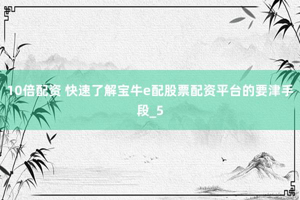 10倍配资 快速了解宝牛e配股票配资平台的要津手段_5
