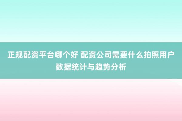 正规配资平台哪个好 配资公司需要什么拍照用户数据统计与趋势分析